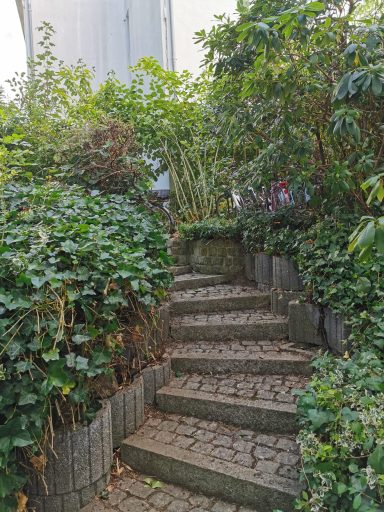 Freigelegte Gartentreppe nach Entfernung des Wildwuchses