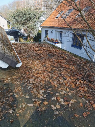 Garagendach mit starker Laubansammlung vor der Reinigung