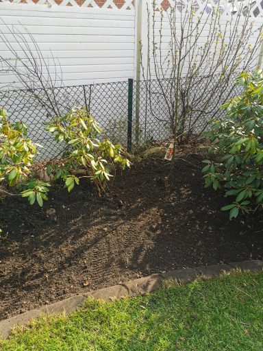 Gepflegtes Gartenbeet nach Entfernung von Unkraut und Altbewuchs