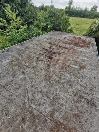 Freigelegtes Garagendach nach vollständiger Weinentfernung